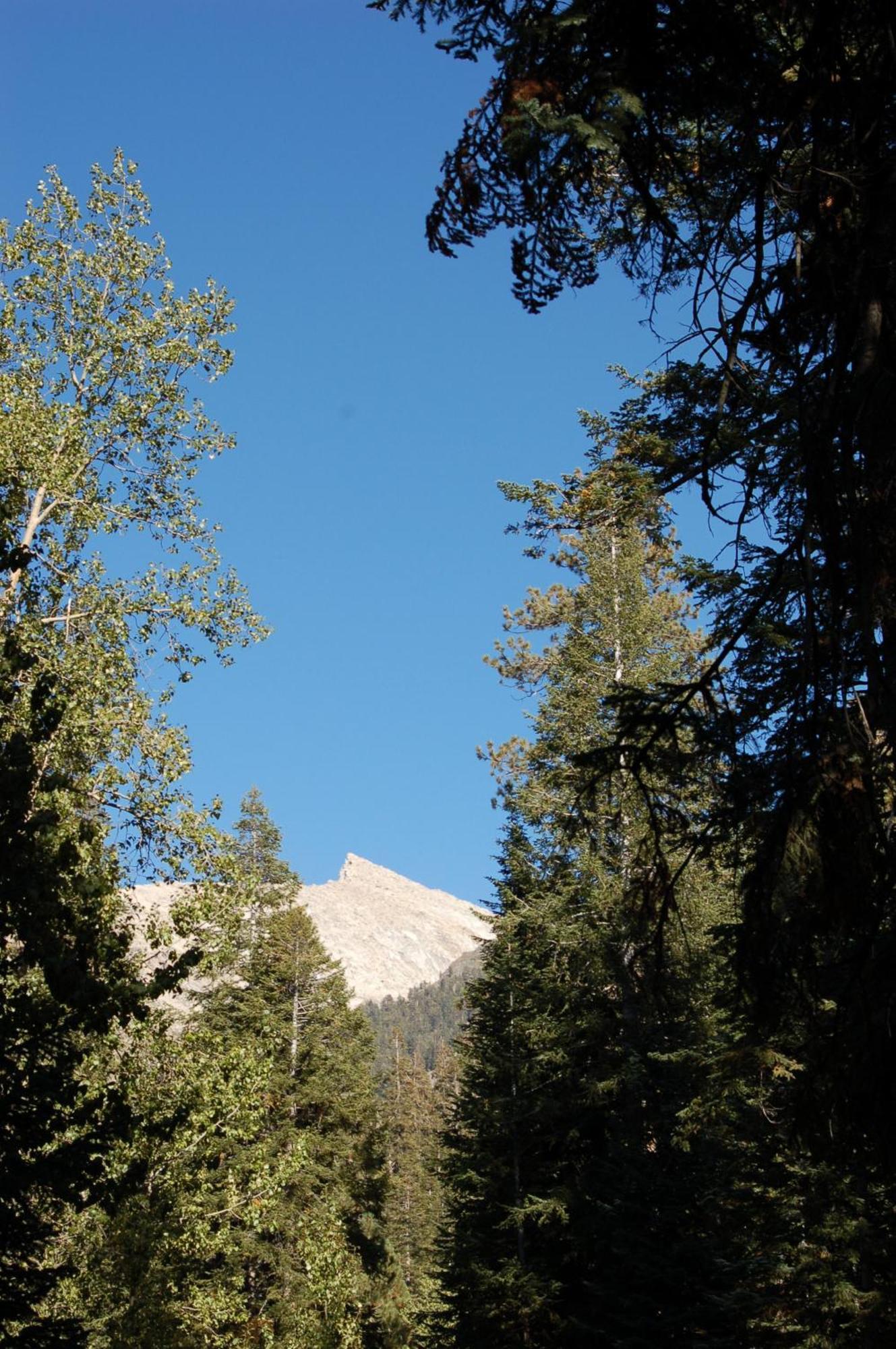 Silver City Mountain Resort Three Rivers Exterior foto